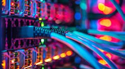 shutterstock_2463386911 shutterstock_2463386911