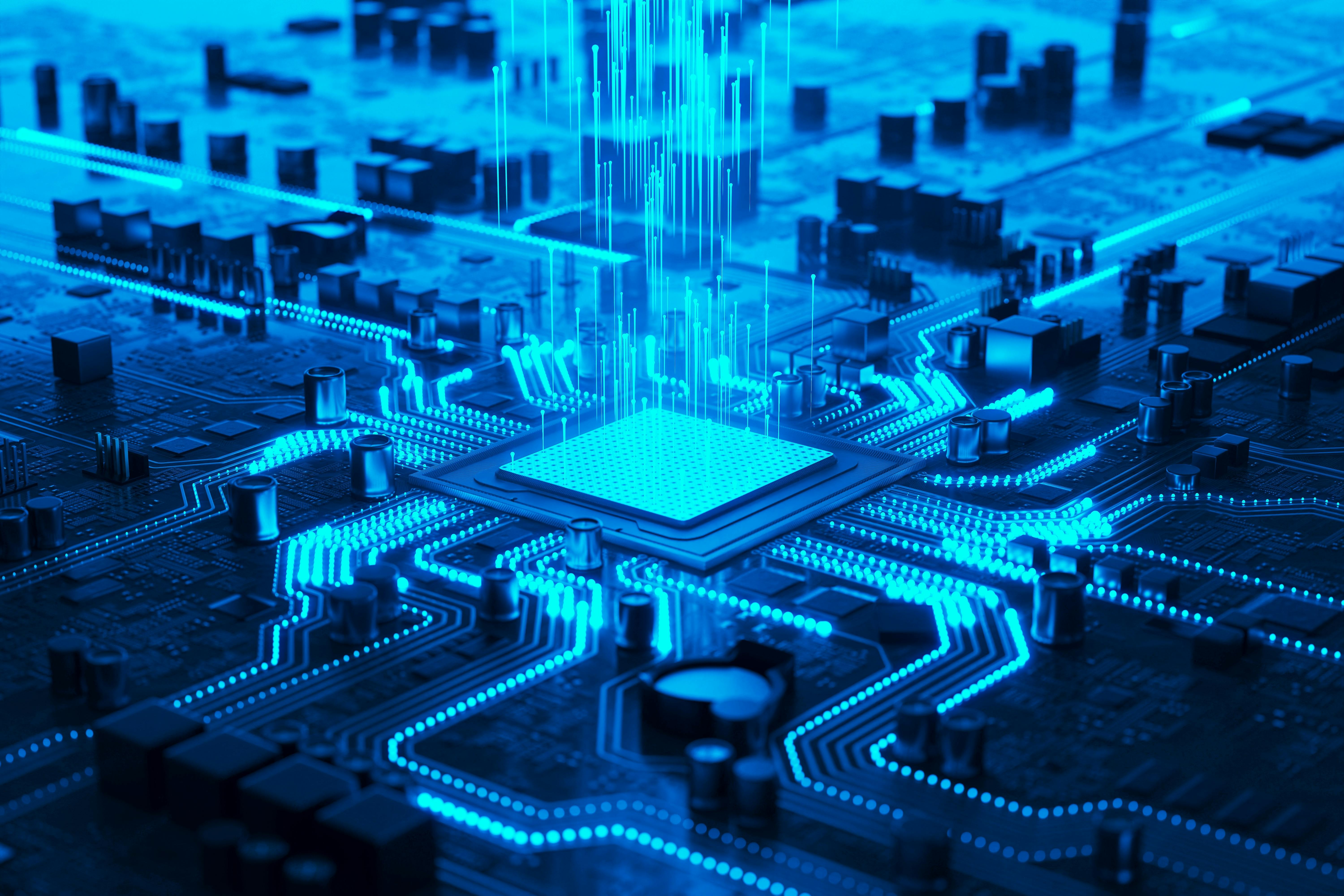 shutterstock_2439656221