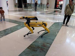 A yellow multipurpose robot dog or robodog by Boston Dynamics being exhibit at a shopping center A yellow multipurpose robot dog or robodog by Boston Dynamics being exhibit at a shopping center