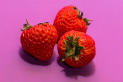 Three strawberries on a hot pink background Three strawberries on a hot pink background